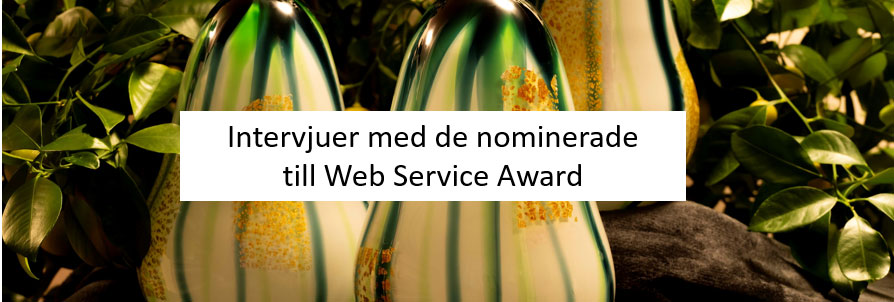 dekorativ bild med text Intervjuer med de nominerade till Web Service Award